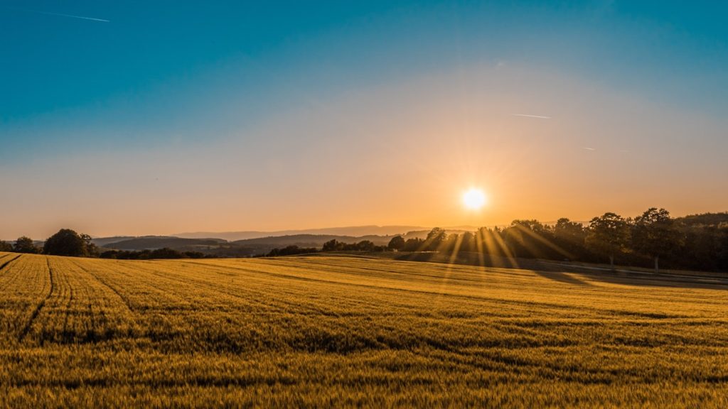 Campagna pugliese con ulivi al tramonto — suolo agricolo edificabile Puglia trasformazione