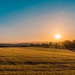 Campagna pugliese con ulivi al tramonto — suolo agricolo edificabile Puglia trasformazione